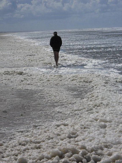 Johan op Ameland, 2011